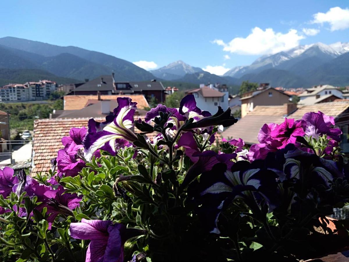 Guest House Planinski Zdravets Bansko Exterior foto